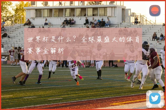 世界杯是什么？全球最盛大的体育赛事全解析