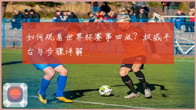 如何观看世界杯赛事回放?权威平台与步骤详解