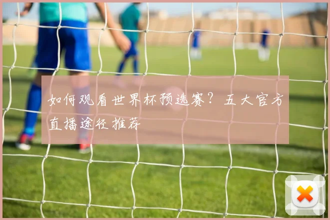 如何观看世界杯预选赛?五大官方直播途径推荐
