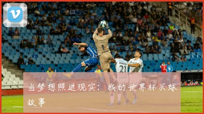 当梦想照进现实：我的世界杯买球故事