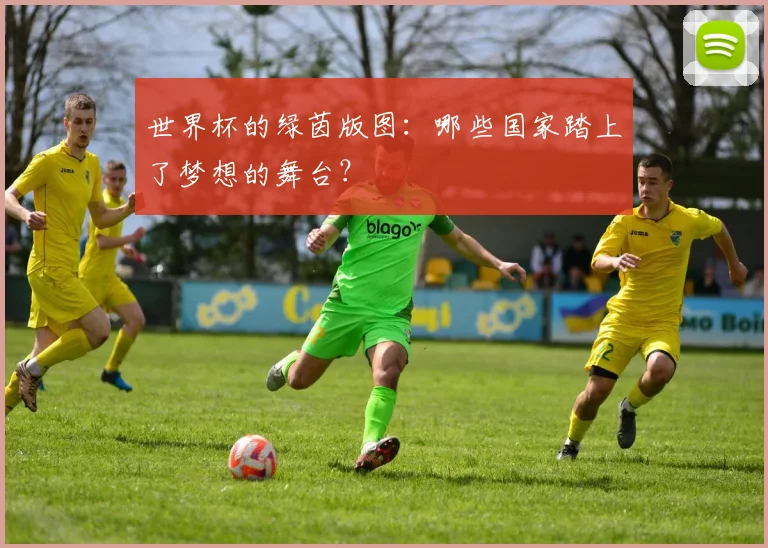 世界杯的绿茵版图：哪些国家踏上了梦想的舞台？