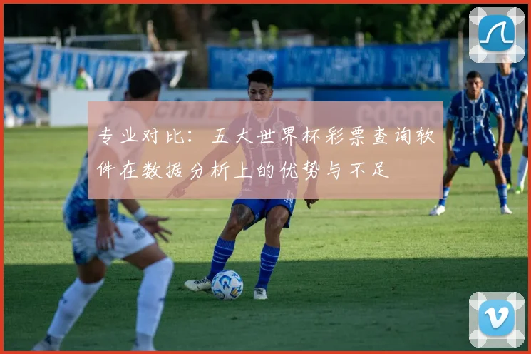 专业对比：五大世界杯彩票查询软件在数据分析上的优势与不足